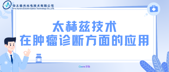 太赫兹服务