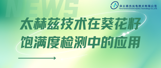 太赫兹服务