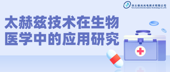 太赫兹服务