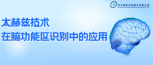 太赫兹服务
